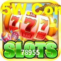 Experimente o Login Seguro Premium no 78955